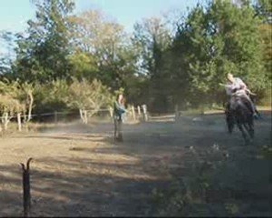 Entrainement à cheval