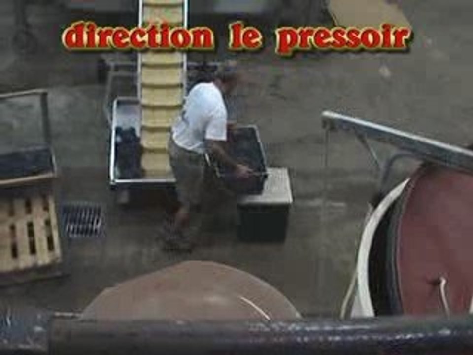 Crémant de loire au domaine lame delisle boucard