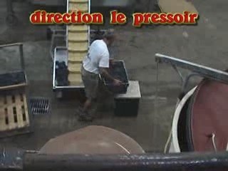 Crémant de loire au domaine lame delisle boucard