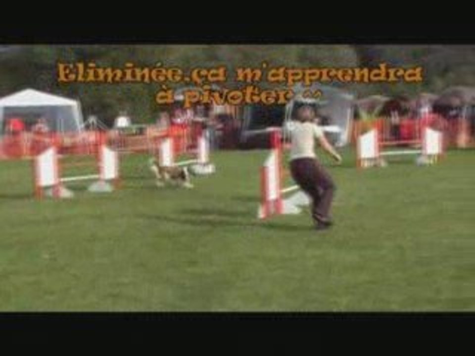 concours tiercelet