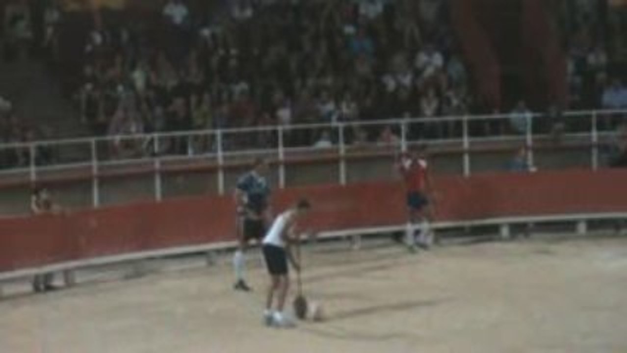 taureau piscine grande motte