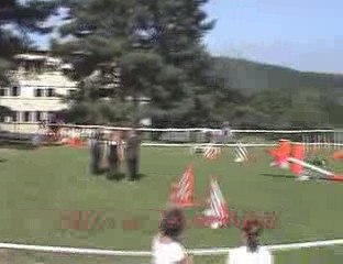 Falck septembre 2009 - Les Degrés