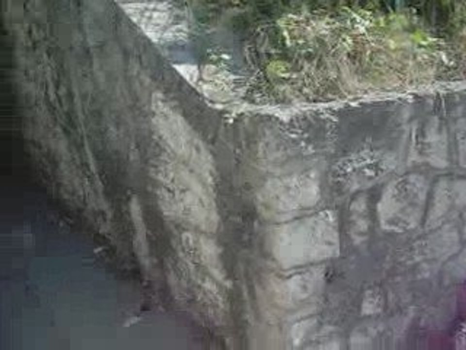 DSCF1196