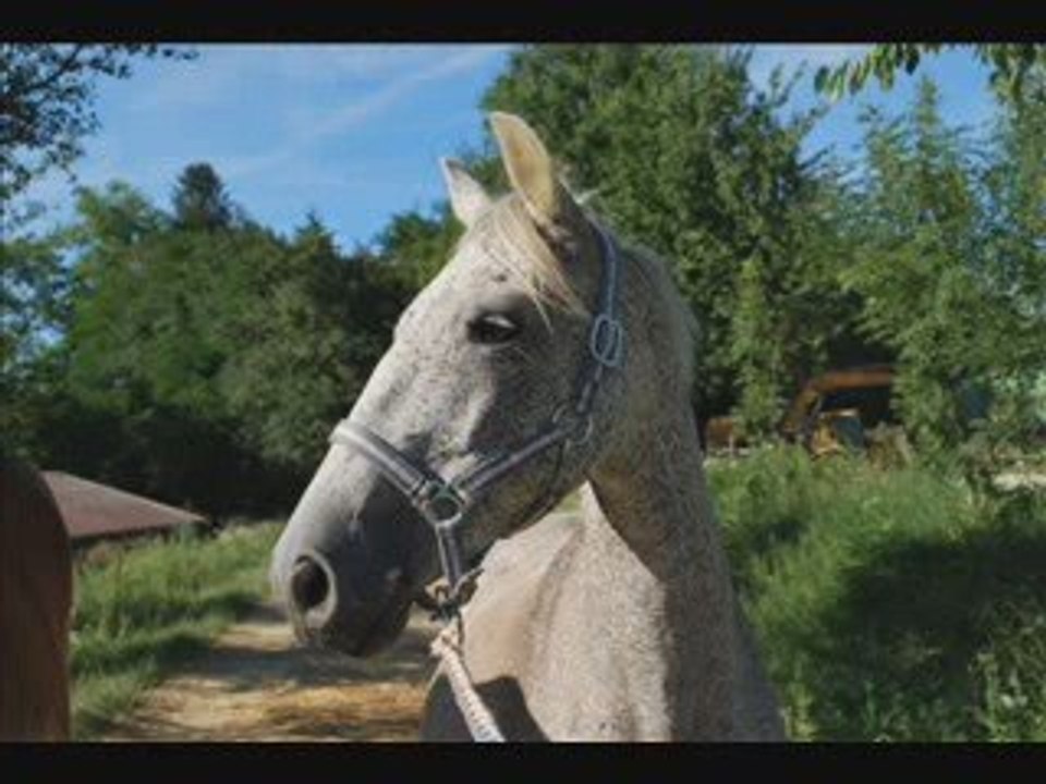 Ultime montage...