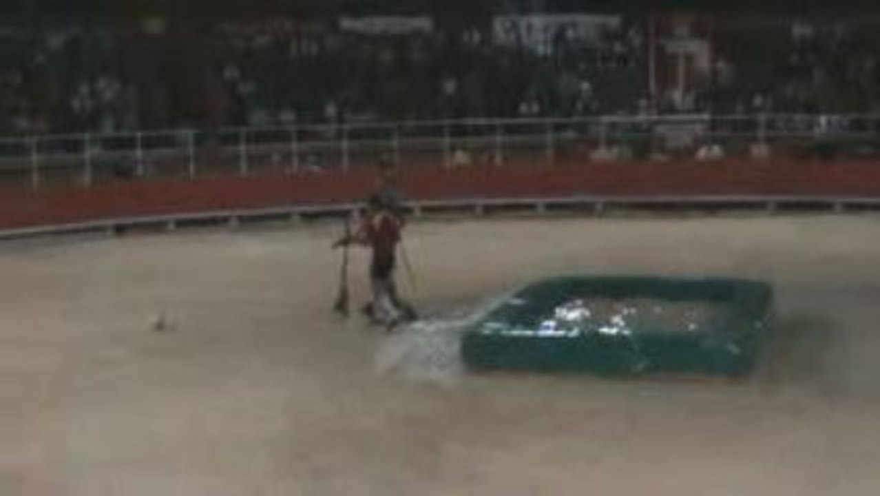 taureau piscine grande motte