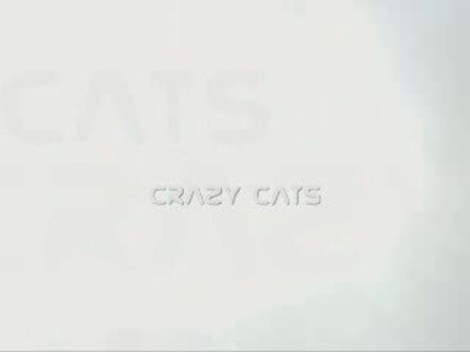 Crazy Cats Alliance Ogame Andromeda