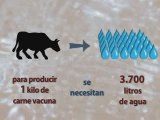 Hazte vegetariano: por los animales y por el agua