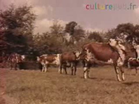 Camenbert de Normandie (1960)