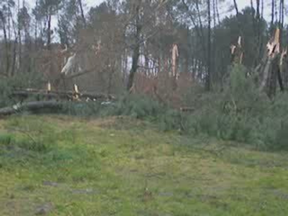 tempête Klaus : 29 janvier 2009