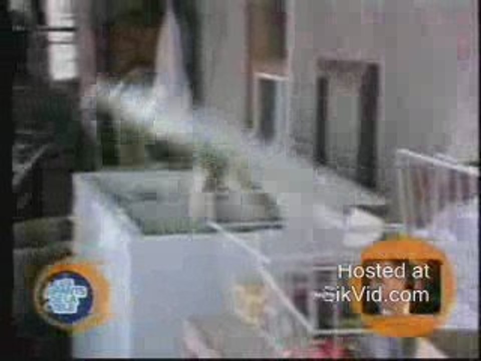 Lavage_Du_Congelateur