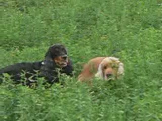 tania et atthis en balade