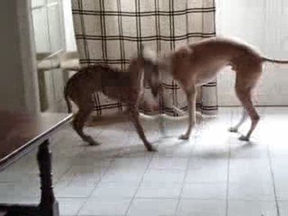 elixir et dak'... partie de joute