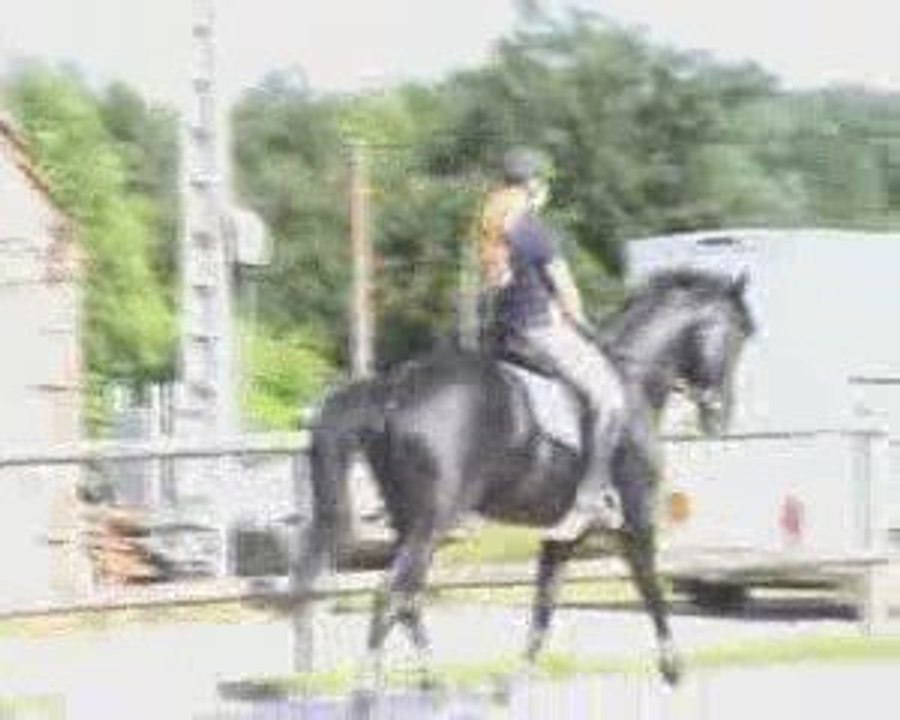 amazing boy du feuillard et charlotte stage avec JNM