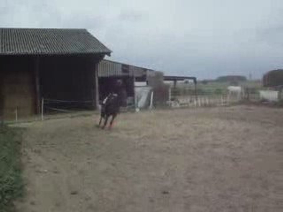 obstacle quickie 3 sept