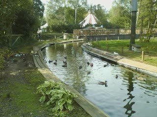 Mon petit chéri et moi le 19-09-2009 à Bellewaerde <3