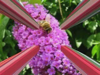 Asfa oniya ali aandi o lah maaya chokran st