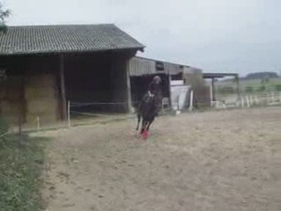 travail sur les barres 03sept (2)