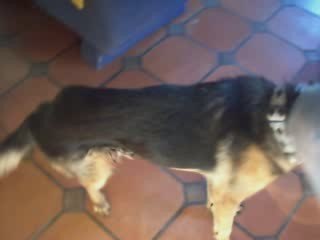 Cirus le lendemain de son opération