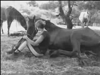 Sheitan et moi, Nos meilleurs moments