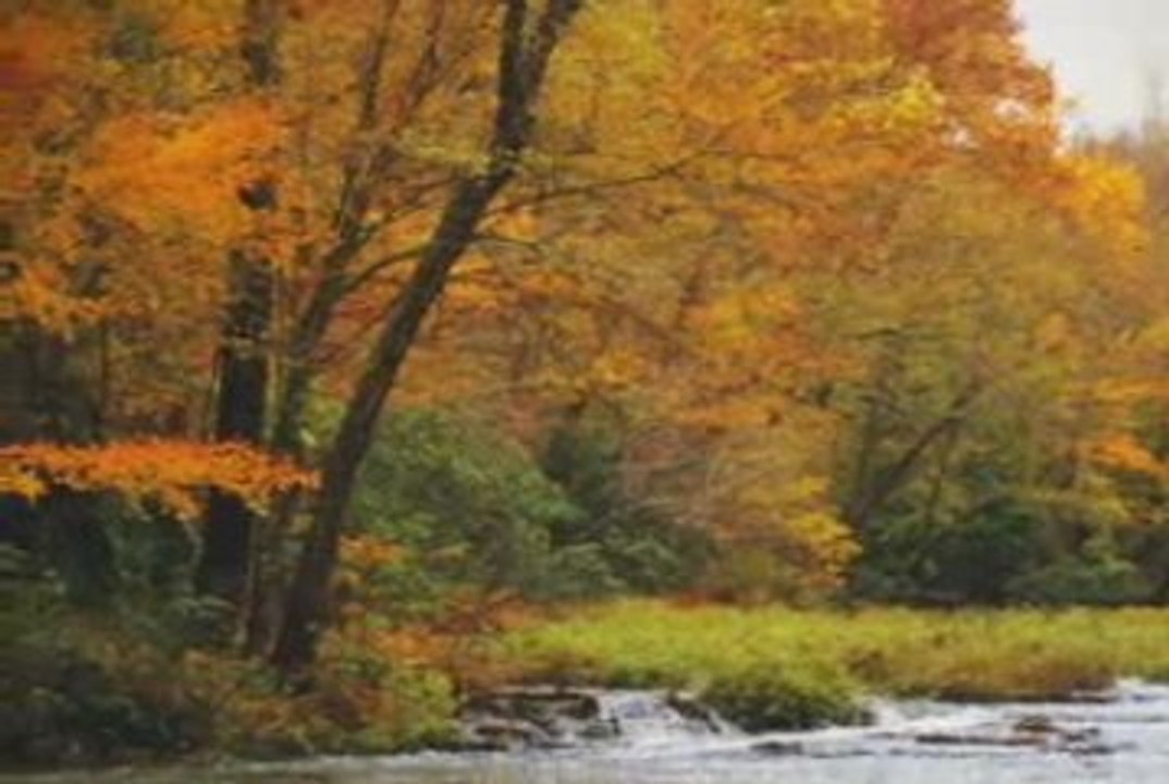 YOGAmazing - At This Moment - Autumn - Visually Guided ...