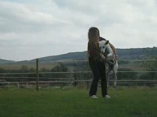 saut en cerceau, revers et petit train
