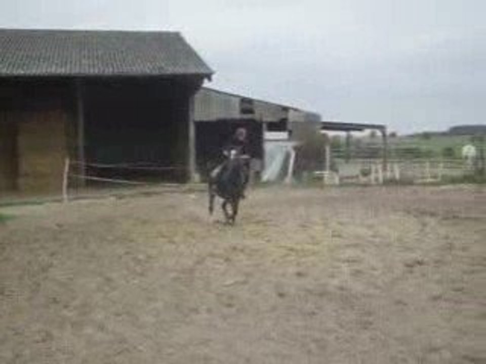 gasper saut 3sept (2)