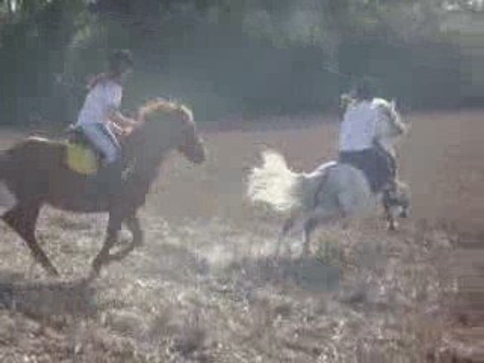 Galop dans les champs