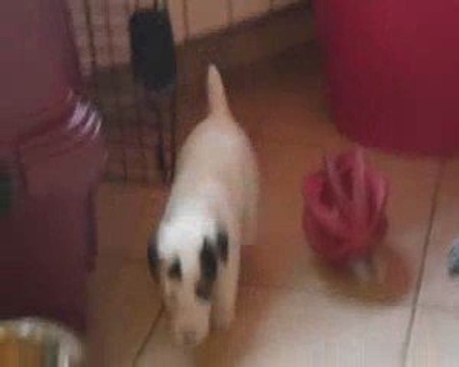 les bébés de Bao & Capi un matin d'octobre