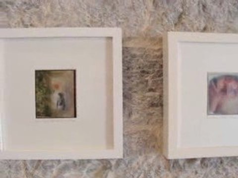 L'Eté Contemporain Dracénois 2009 - Danièle Flayeux