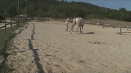 le samedi c'est éthologie