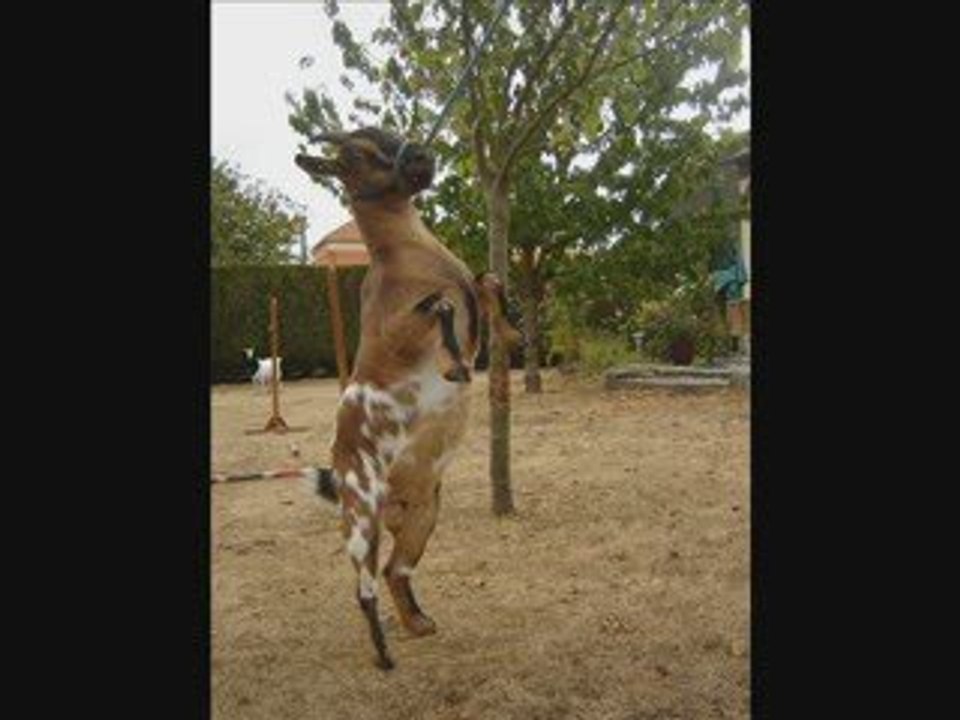 saut avec mes 2 cherie...<3