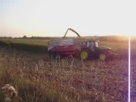 ensileuse John Deere 7730 et John Deere 7710 + remorque