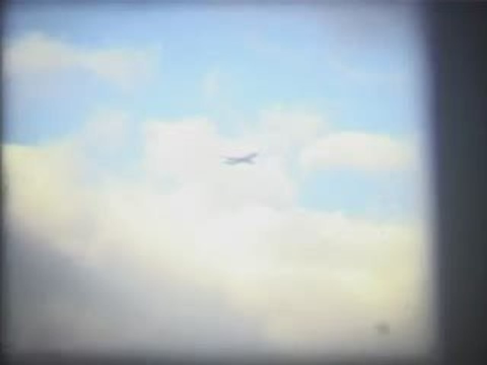 the bat - castle nights