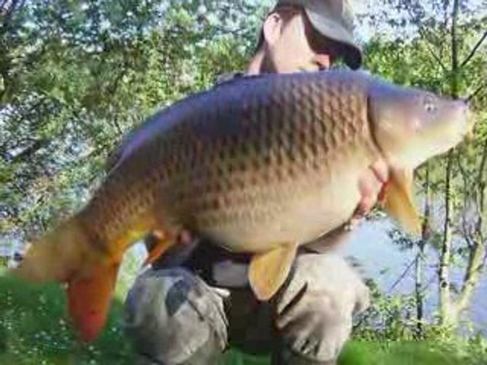 Diaporama de la pêche de la carpe