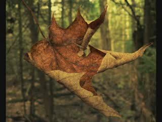 Armonia "Comentarios para reflexionar" Disco 2 parte 2