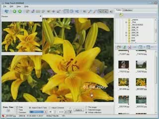 How To Date Stamp Photos. Do It Wisely!