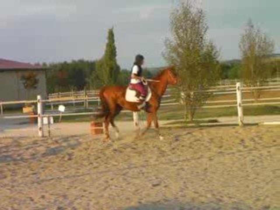 Roxy 02/10/09