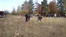 видео 4