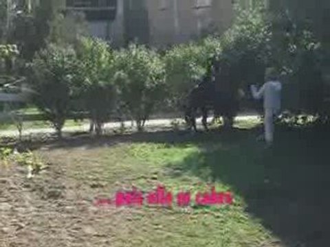 journey équitation 03.10.09