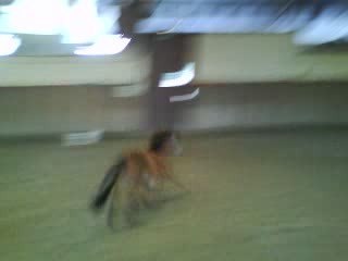 booka kii se defoule