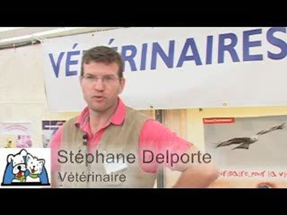 Vétérinaires