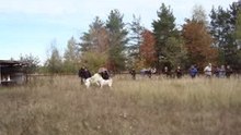 видео 8