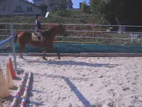 Jirminy de Laure, Jument Selle Français de 12 ans