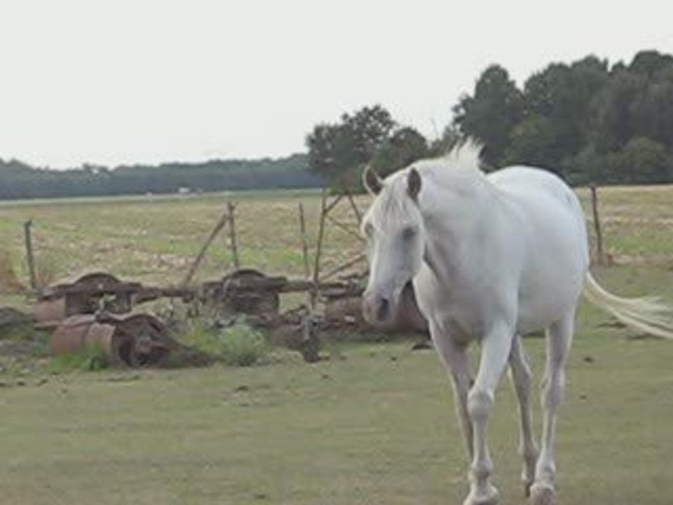 Orion retour ballade video