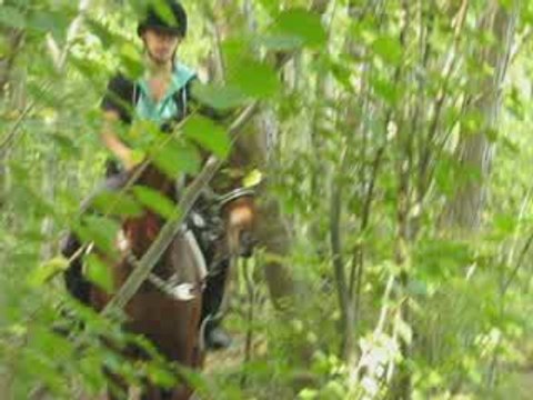 Tiffany et Orion forêt video