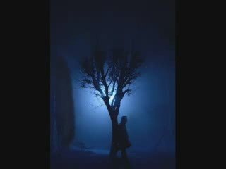 Fadil Toskic - Ne lazem te, duso moja