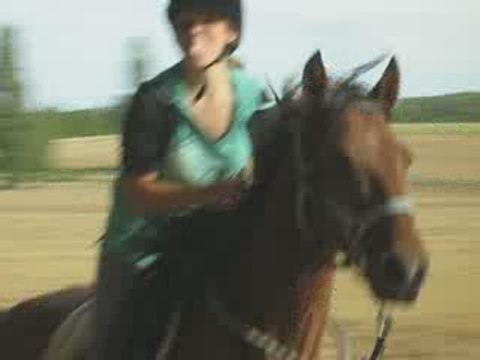 Tiffany Orion galop video