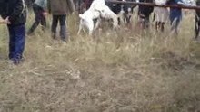 видео 9