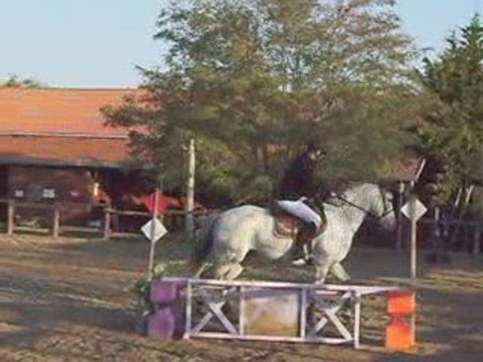 Moi et Nixon concours Taravas chutes