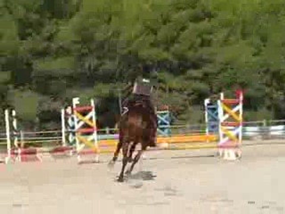 ConCour D'oBsTaCle Du Var (60 Cm)